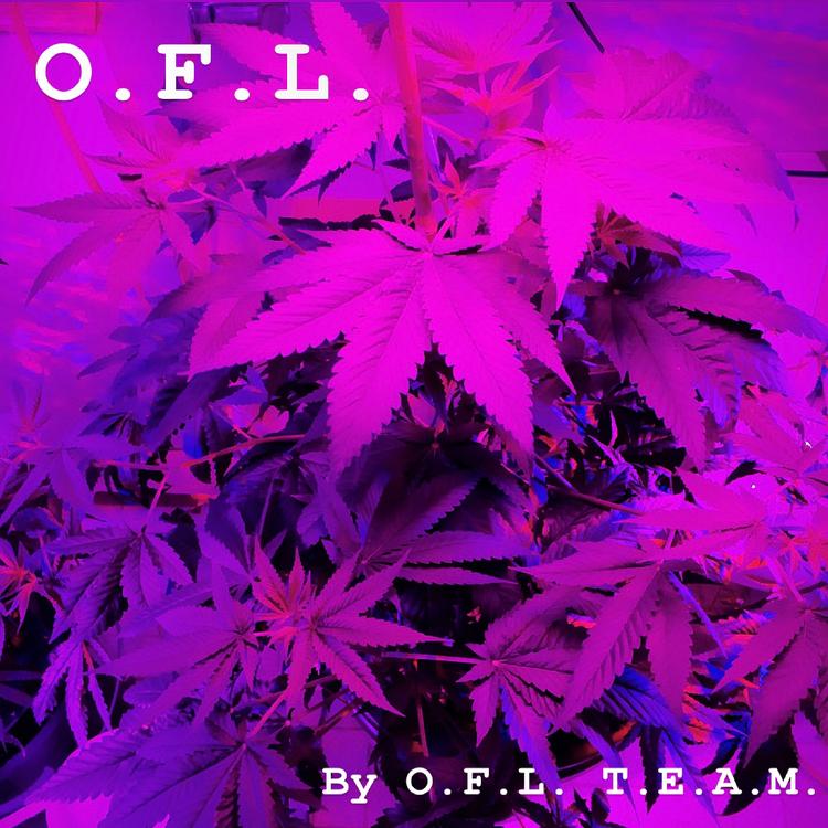 O.F.L. T.E.A.M.'s avatar image