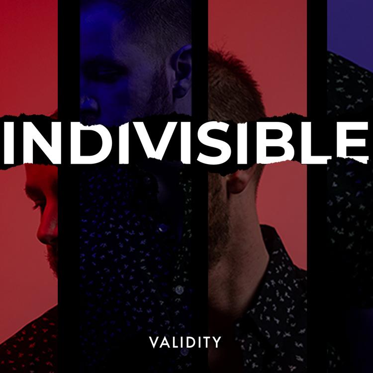 Validity's avatar image