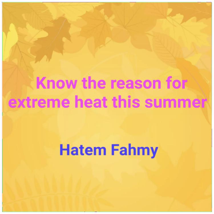 Hatem Fahmy's avatar image