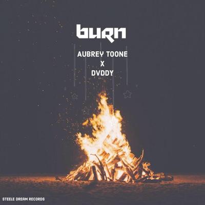 Burn By Aubrey Toone, Dvddy's cover