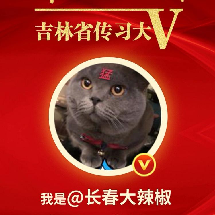 林漪晨's avatar image