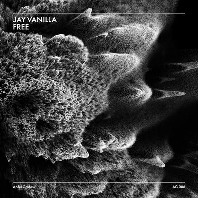 Free By JAY VANILLA's cover