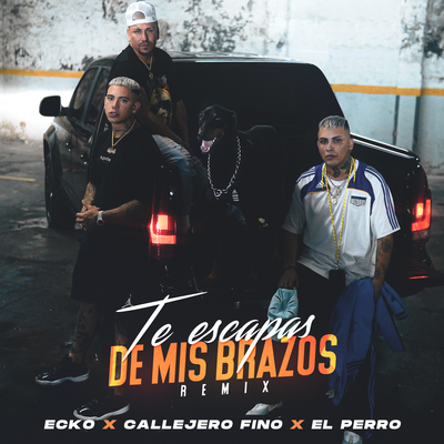 Te Escapas De Mis Brazos (Remix) By ECKO, BM, El Perro's cover