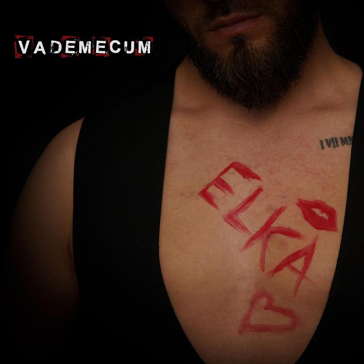 Vademecum's avatar image