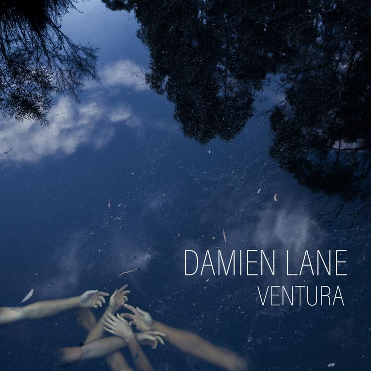 Damien Lane's avatar image