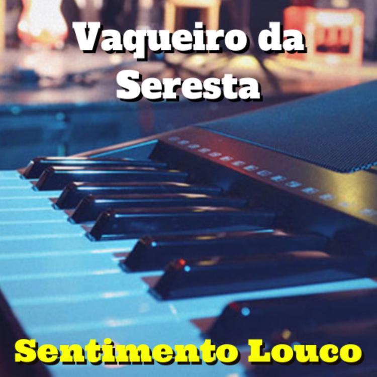 Vaqueiro da Seresta's avatar image