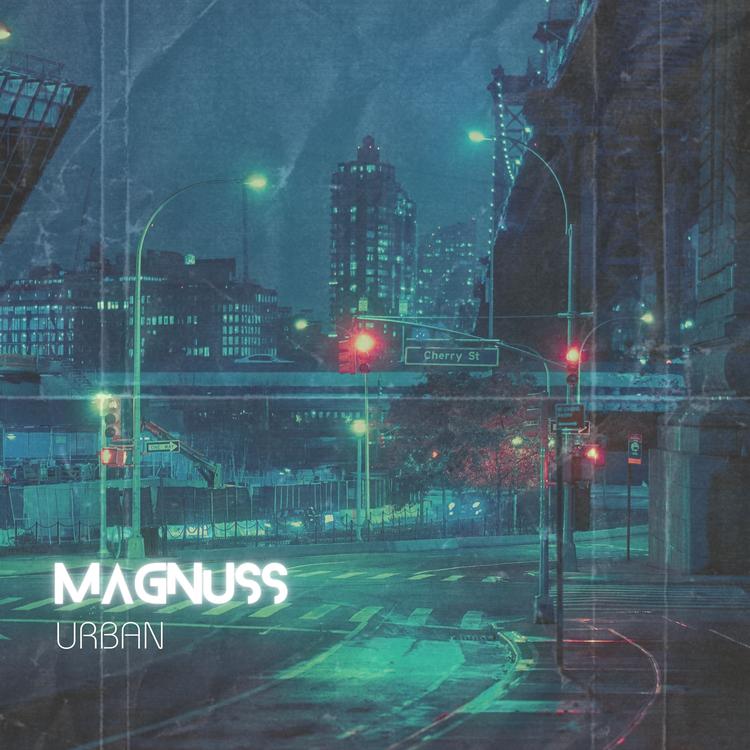 Magnuss's avatar image
