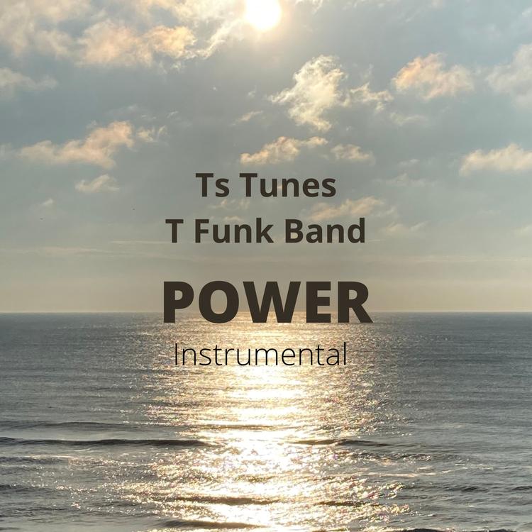 Ts Tunes T Funk Band's avatar image