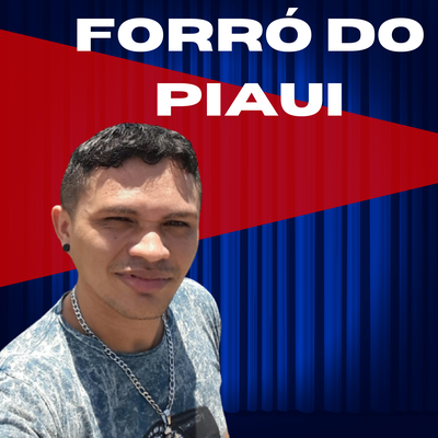 FORRÓ DO PIAUI's cover