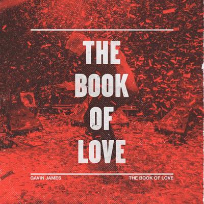 The Book of Love (JOY Rework) By Gavin James, JOY.'s cover