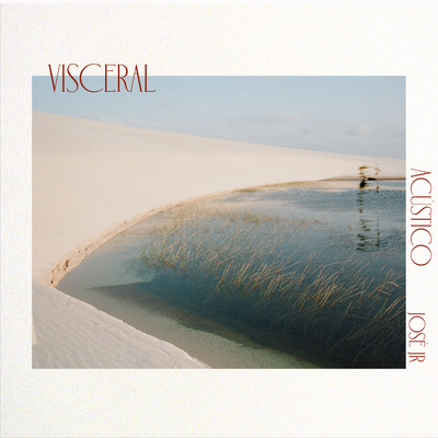 Visceral (Acústico)'s cover