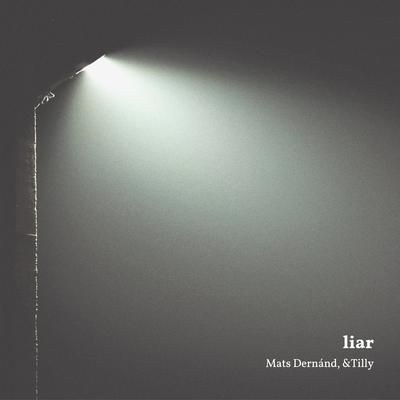 Liar By Mats Dernánd's cover