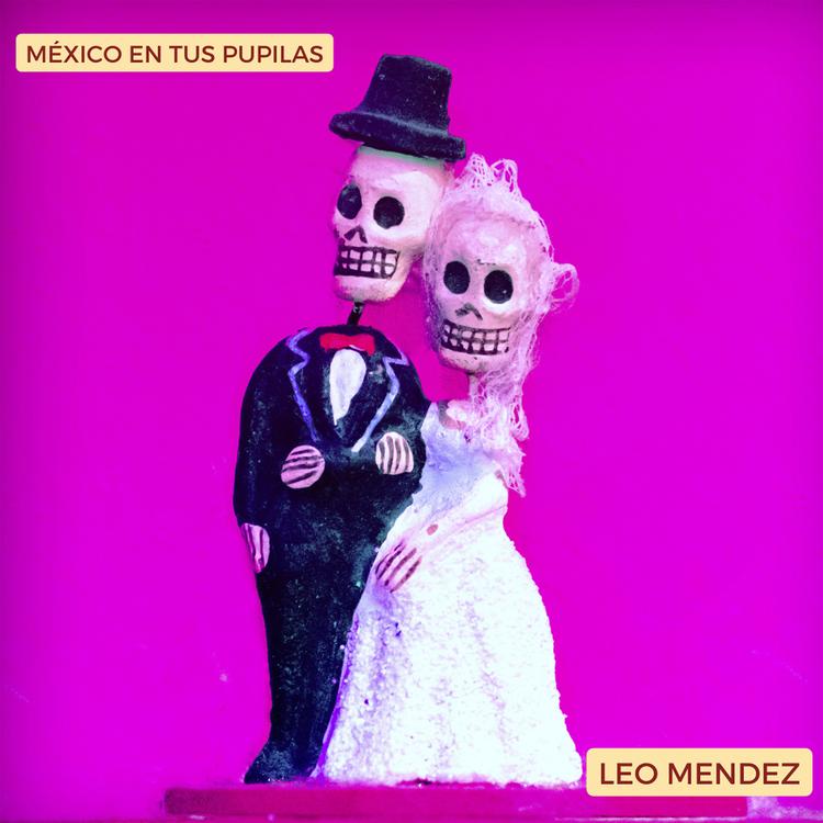 Leo Mendez's avatar image