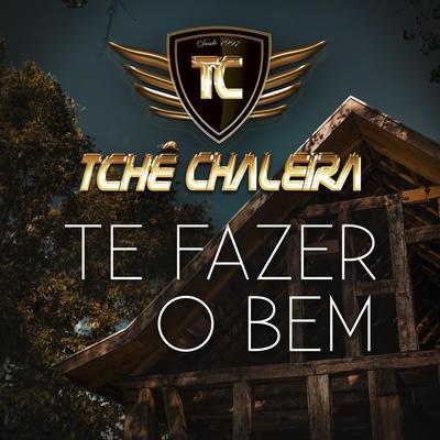 Te Fazer o Bem (feat. Exaltasamba) By Tchê Chaleira, Exaltasamba's cover