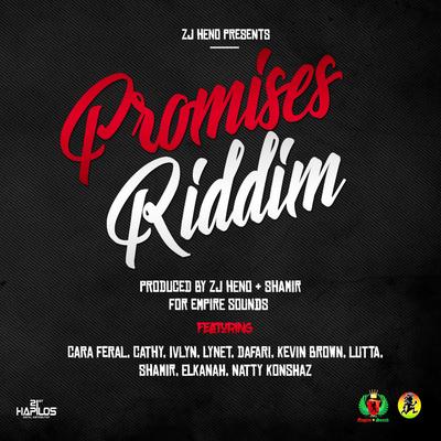 Promises Riddim Megamix's cover