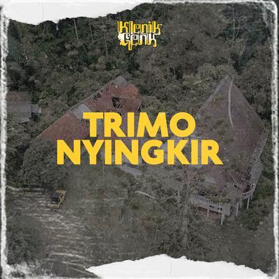 Trimo Nyingkir's cover