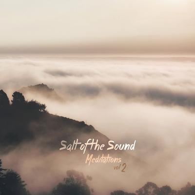 Quiet Me By Salt Of The Sound's cover