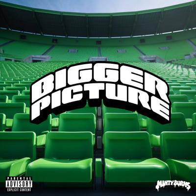 Bigger Picture By Minty Burns's cover