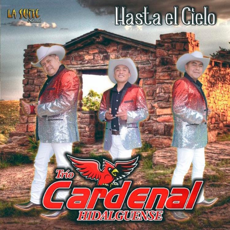 Trio Cardenal Hidalguense's avatar image