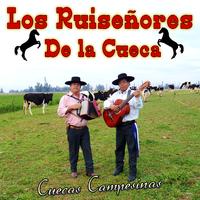 Los Ruiseñores De La Cueca's avatar cover