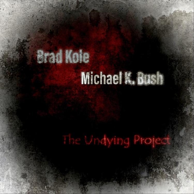 The Undying Project's avatar image