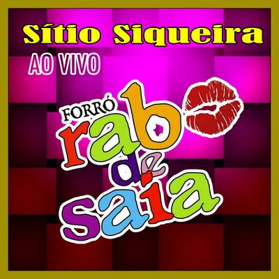 Sítio Siqueira Ao Vivo - 1997's cover