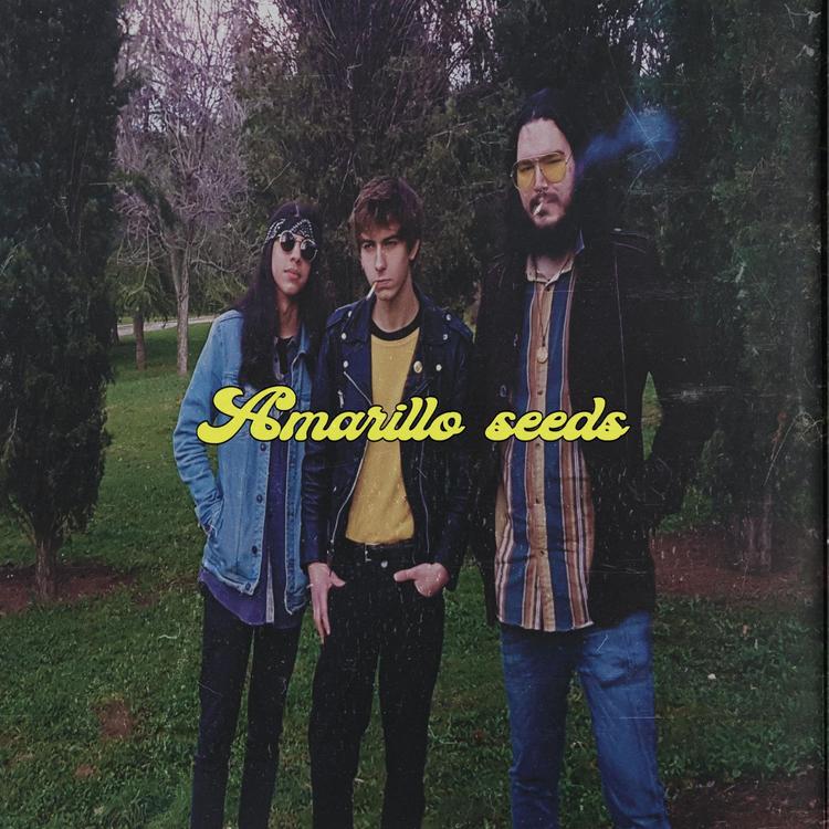 Amarillo Seeds's avatar image