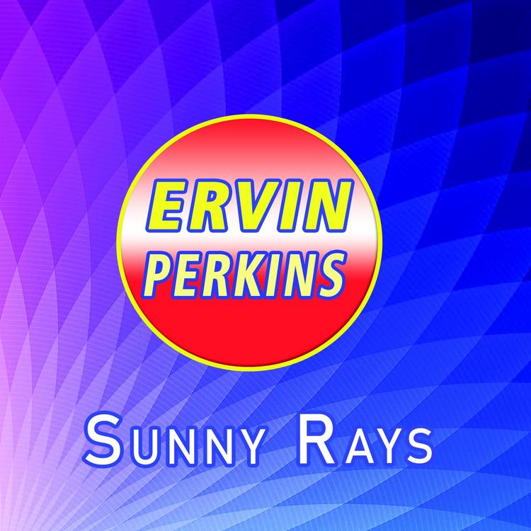 Ervin Perkins's avatar image