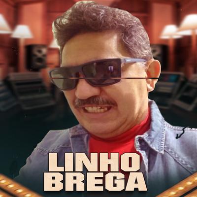 Amigo By LINHO BREGA's cover