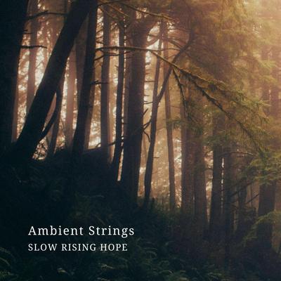 Orbits By Slow Rising Hope's cover
