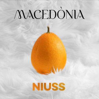 Niuss's cover