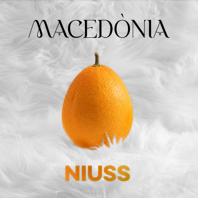 Niuss's avatar image