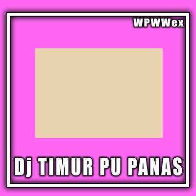 Dj Timur Pu Panas (Remix)'s cover