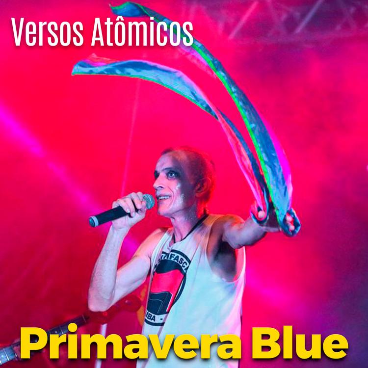 Primavera Blue's avatar image