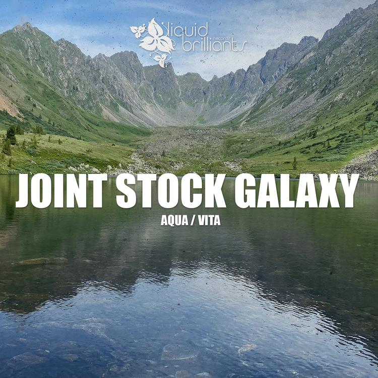 Joint Stock Galaxy's avatar image