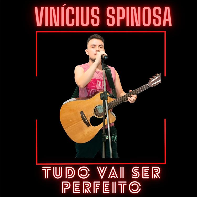 Vinicius Spinosa's avatar image