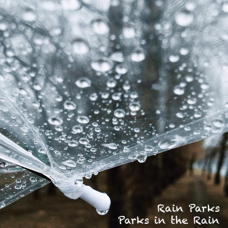Rain Parks's avatar image