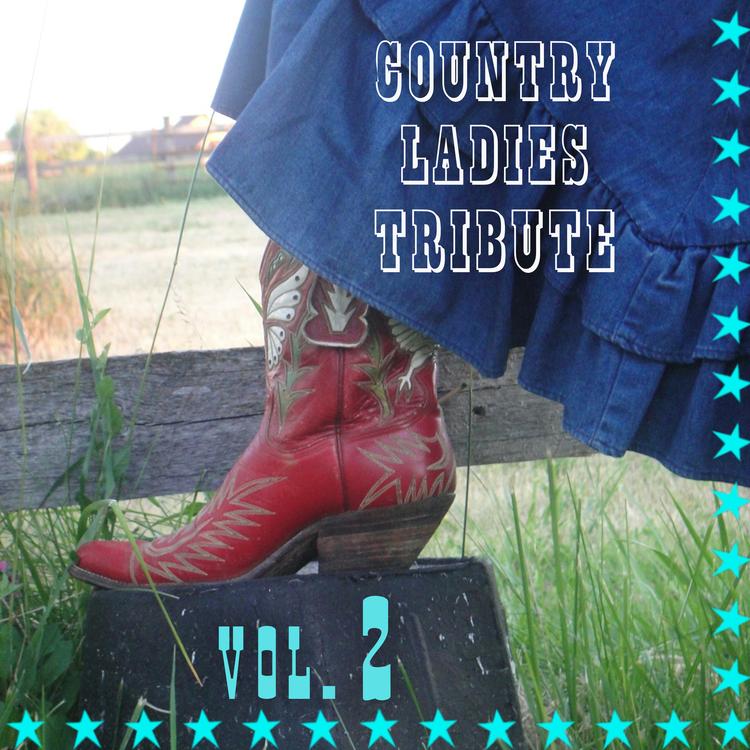 Ladies Country Band's avatar image