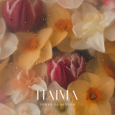 Naima By Jonas Olofsson's cover