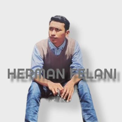 Herman Felani's cover