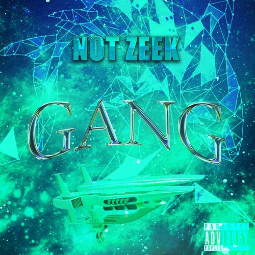 Shawtys Official Tiktok Music  album by Notzeek - Listening To