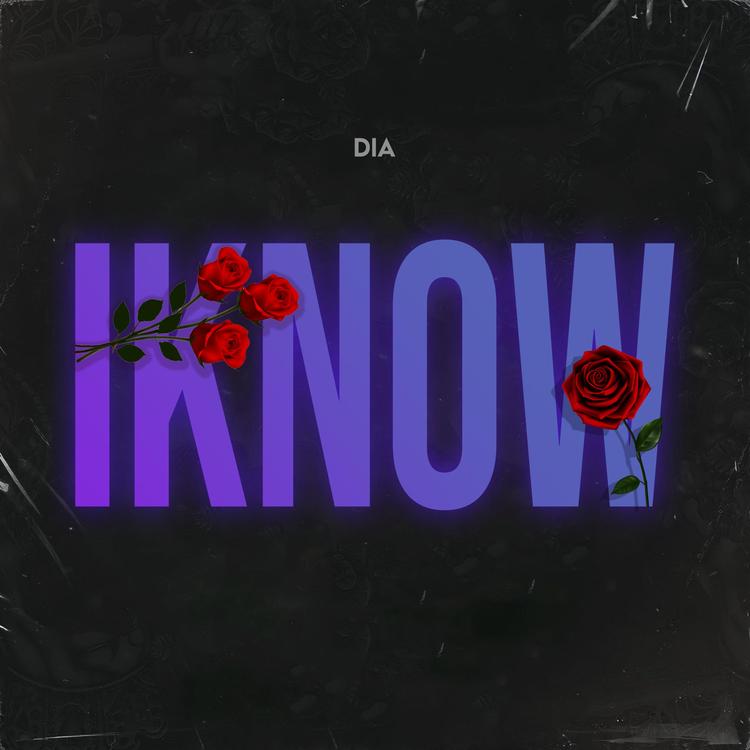 DIA's avatar image