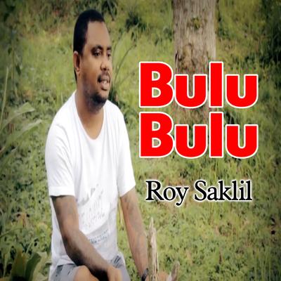 Bulu Bulu's cover