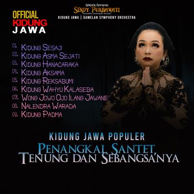 Kidung Jawa Penangkal Santet, Tenung dan Sebangsanya's cover