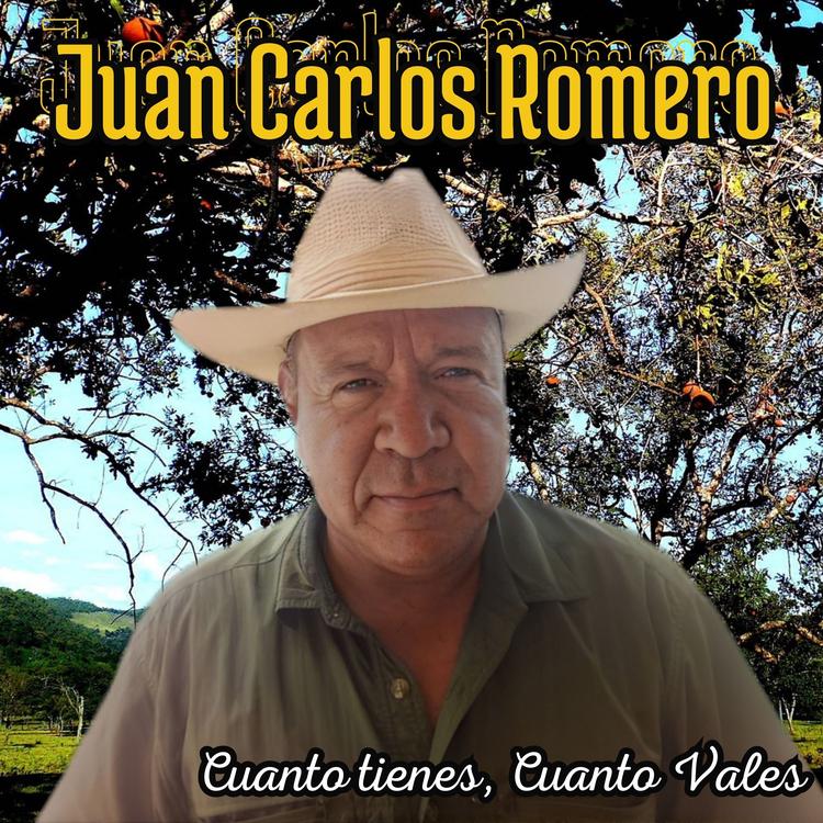 Juan Carlos Romero's avatar image