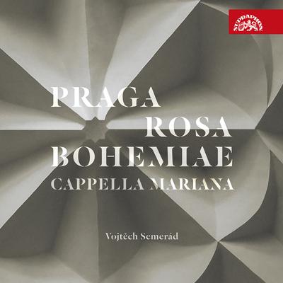 Presulem ephebeatum By Cappella Mariana, Vojtěch Semerád's cover
