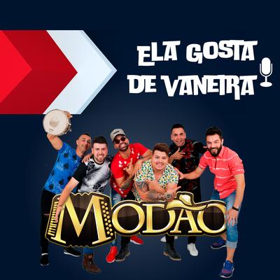 Ela Gosta de Vaneira (Remix) By Grupo Modão's cover
