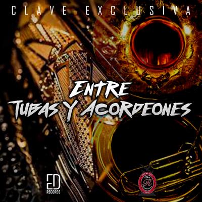 Entre Tubas y Acordeones's cover