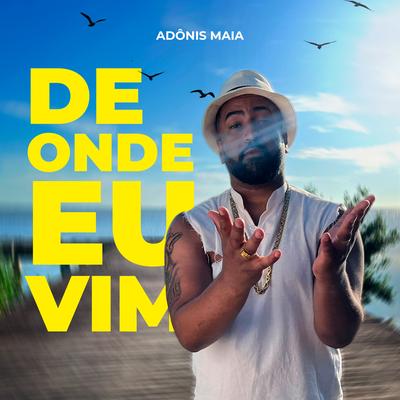 De Onde Eu Vim By Adônis Maia's cover