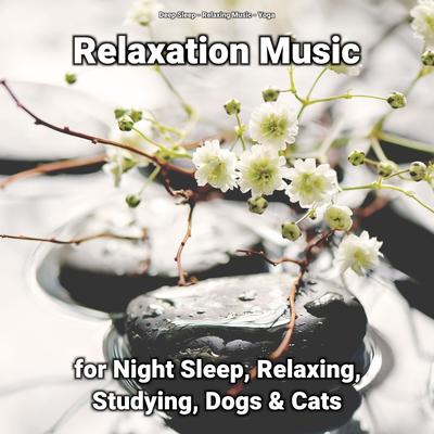Relaxation Music for Night Sleep, Relaxing, Studying, Dogs & Cats's cover